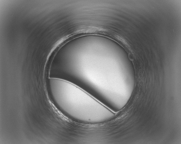 X0000058771122200509300833