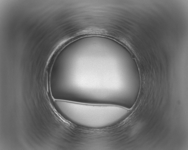 X0000058771123200509300833