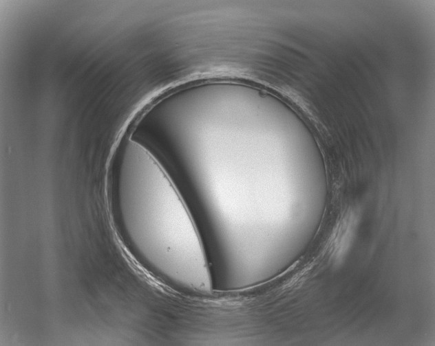 X0000058771126200509300833
