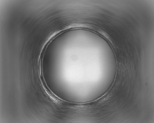 X0000058771127200509300833