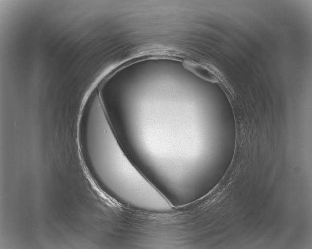 X0000058771128200509300833