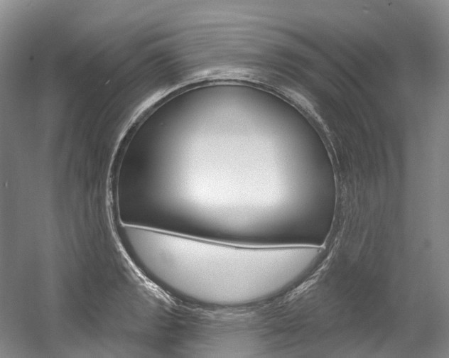 X0000058771133200509300833