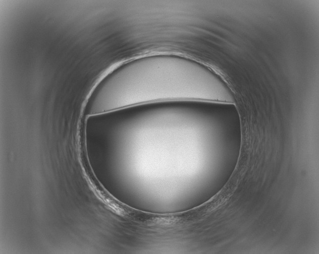 X0000058771134200509300833