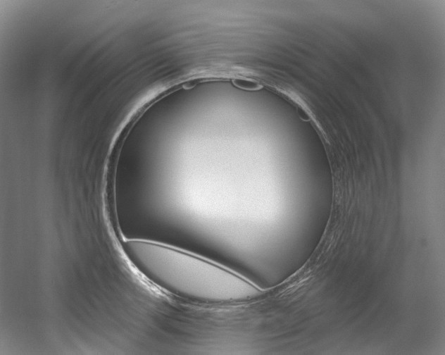X0000058771139200509300833