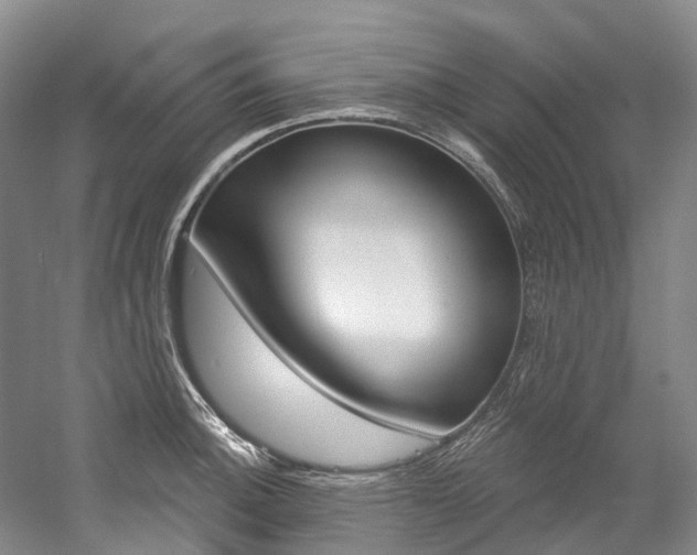 X0000058771140200509300833