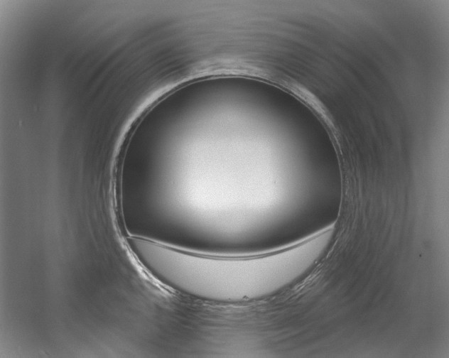 X0000058771144200509300833