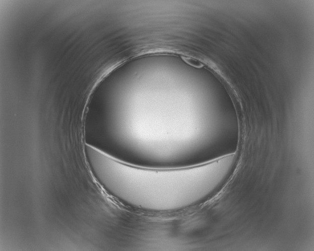 X0000058771145200509300833