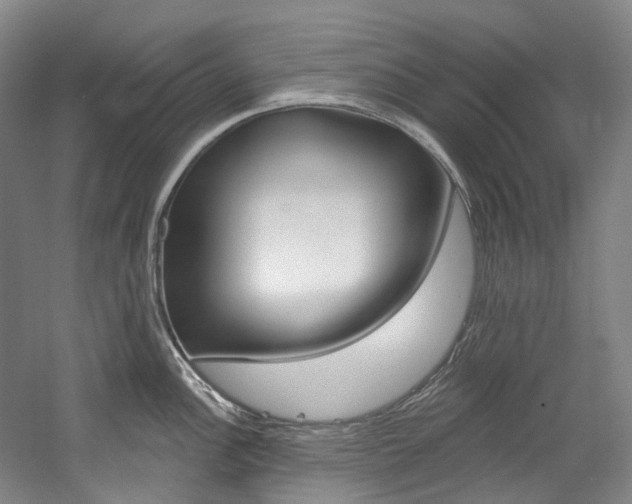 X0000058771148200509300833