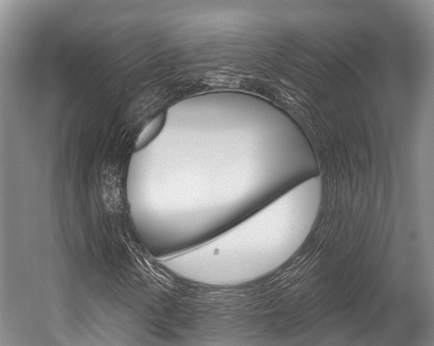 X0000058771154200509300832
