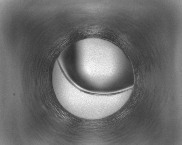 X0000058771156200509300832