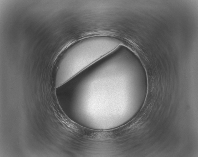 X0000058771163200509300832