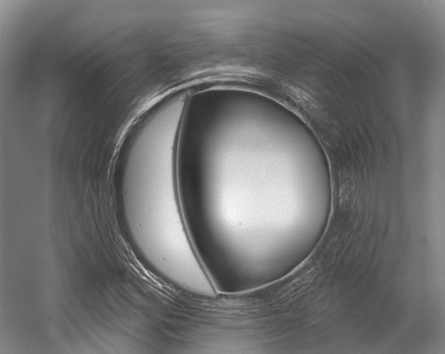 X0000058771164200509300832