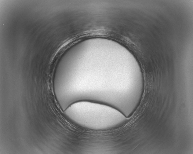 X0000058771166200509300832