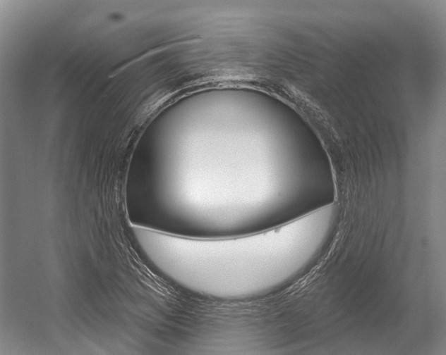 X0000058771169200509300832