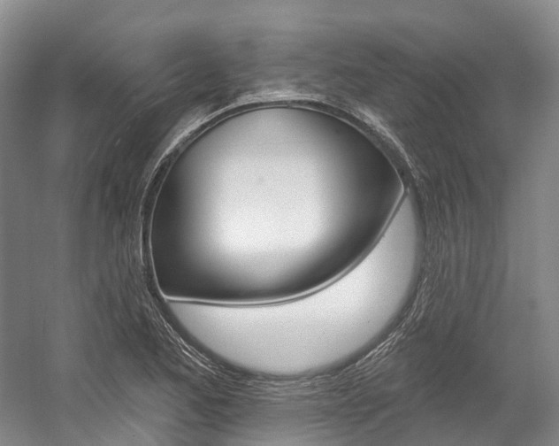 X0000058771173200509300832