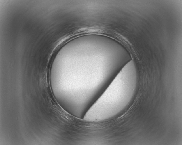 X0000058771174200509300832