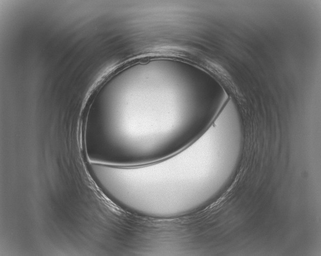 X0000058771180200509300832