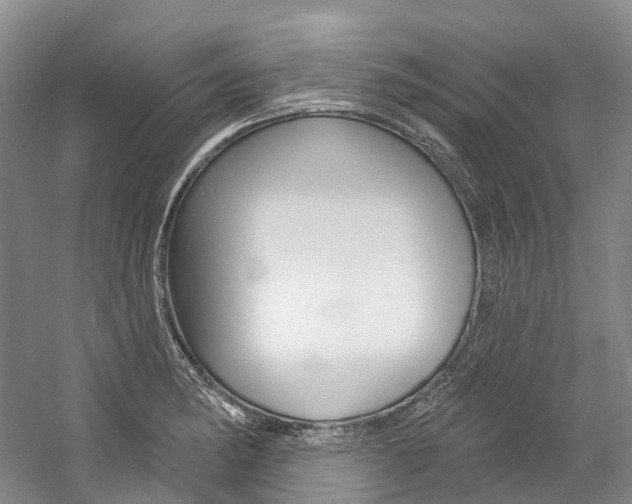 X0000058771182200509300832