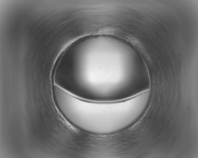 X0000058771184200509300832