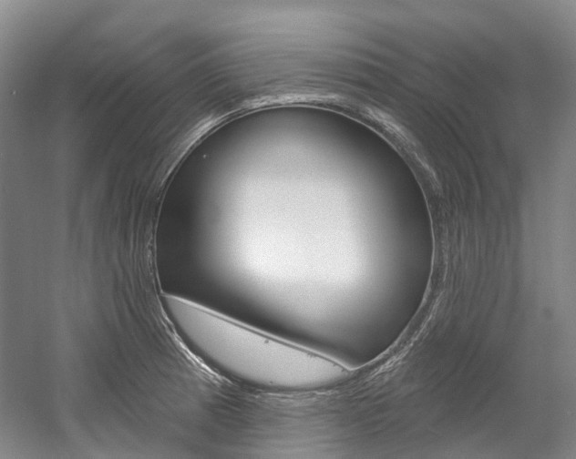 X0000058771185200509300832