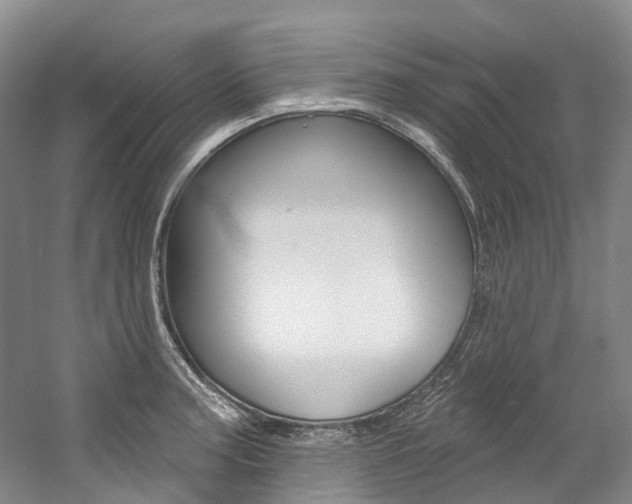 X0000058771187200509300832