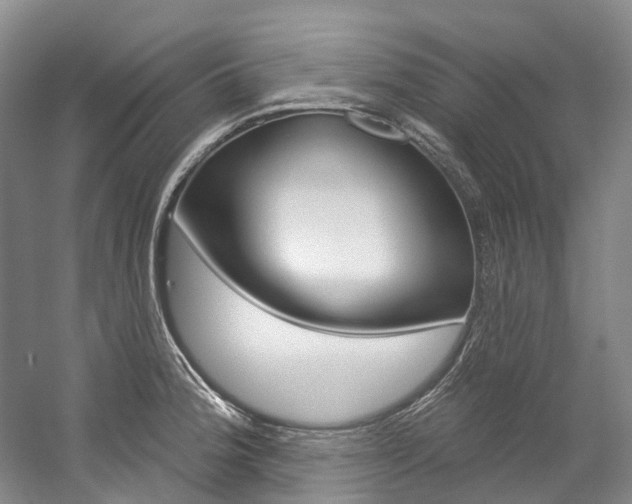 X0000058771188200509300832
