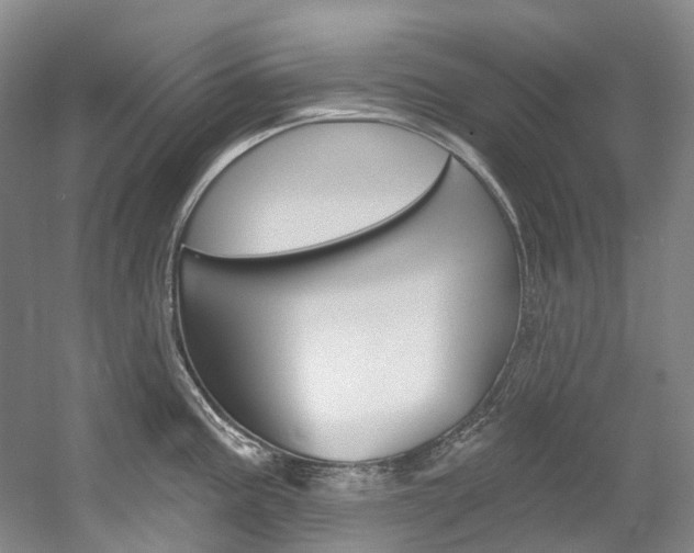 X0000058771195200509300831