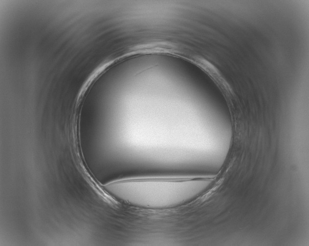 X0000058771196200509300831