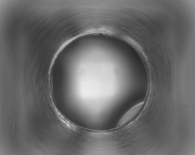 X0000058771200200509300831