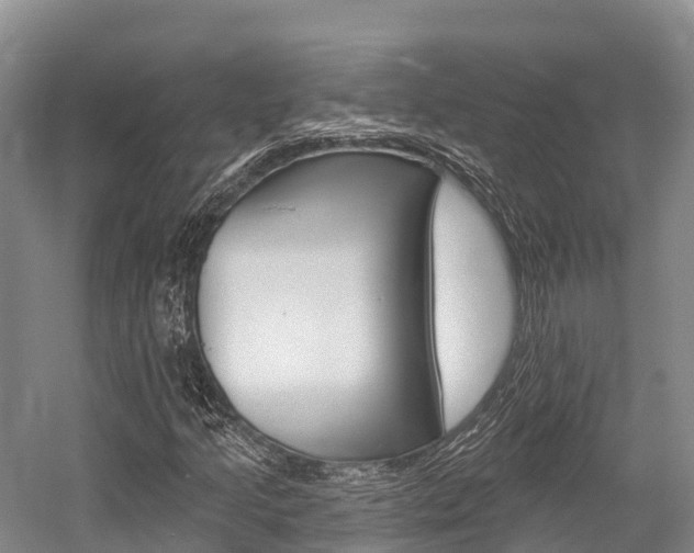 X0000058771205200509300831