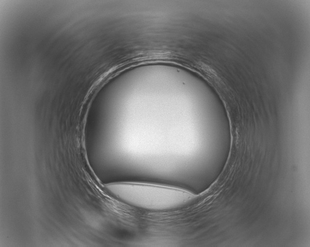 X0000058771212200509300831
