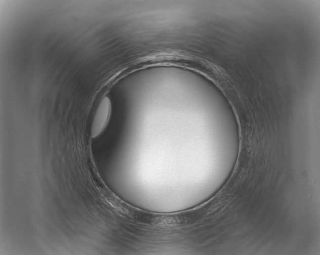 X0000058771217200509300831