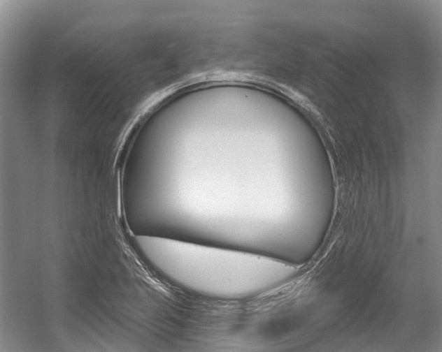 X0000058771223200509300831