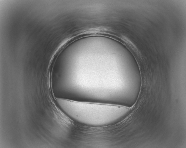 X0000058771224200509300831