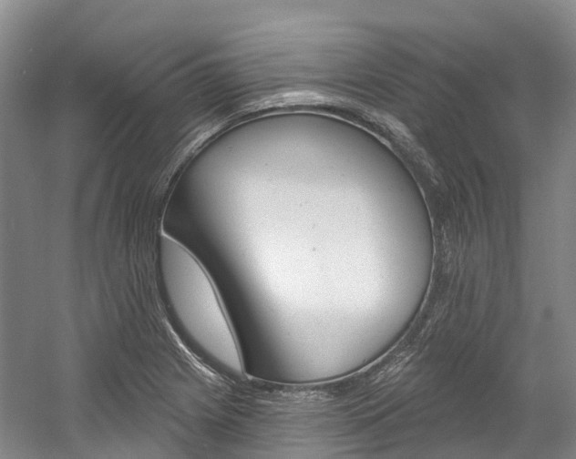 X0000058771225200509300831