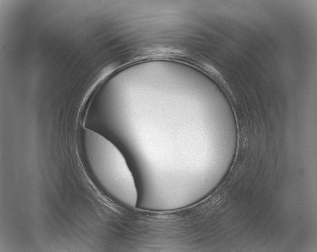 X0000058771227200509300831