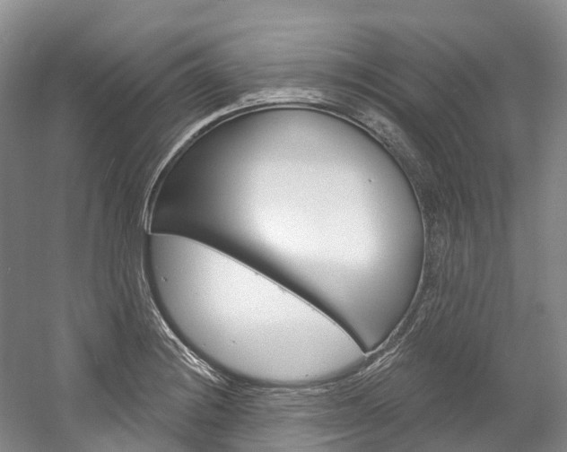 X0000058771228200509300831