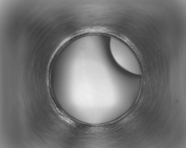 X0000058771232200509300831