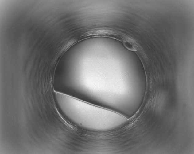 X0000058771233200509300831