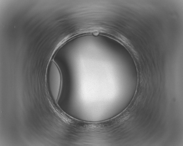 X0000058771234200509300831
