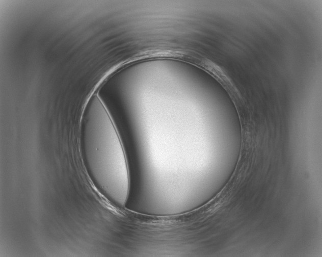 X0000058771236200509300831