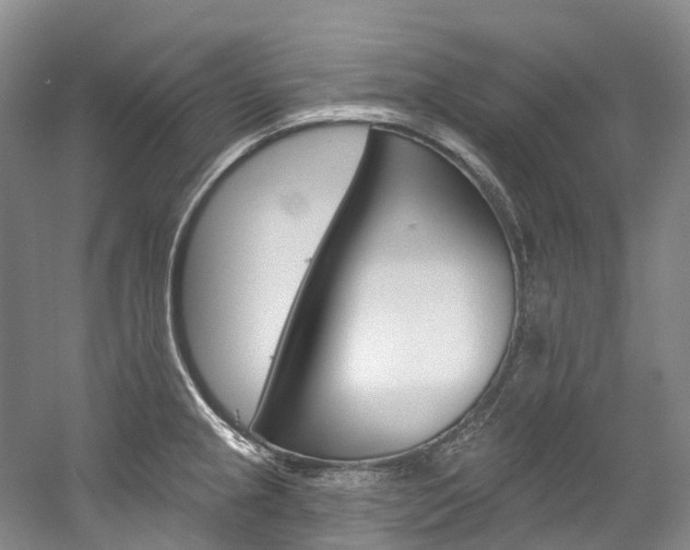X0000058771237200509300831