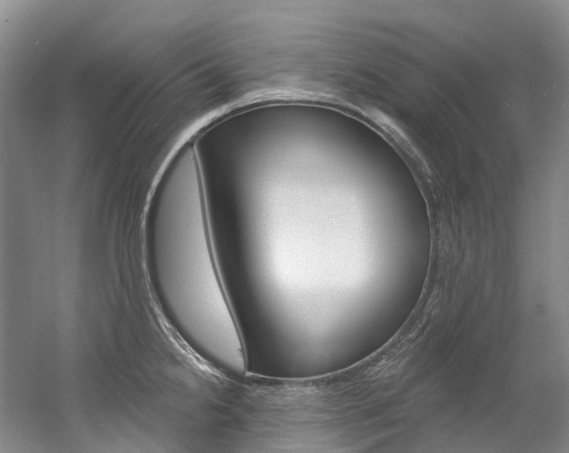 X0000058771238200509300831