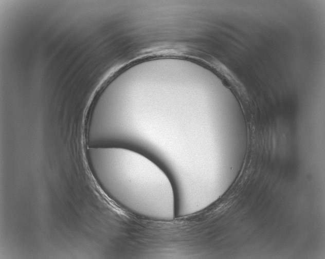 X0000058771240200509300831