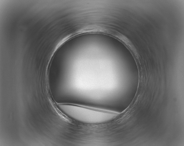 X0000058771242200509300831