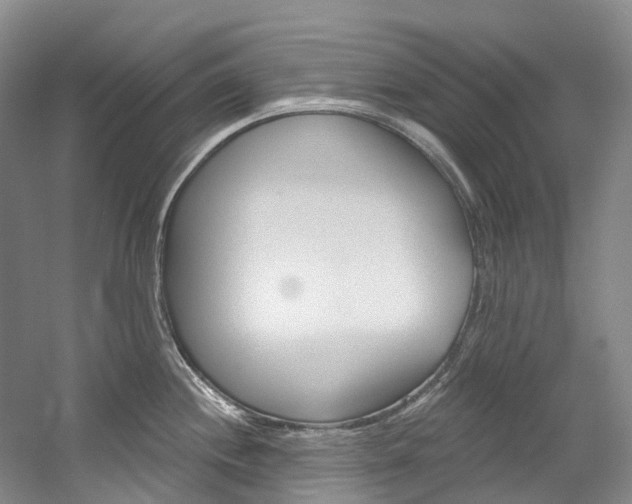 X0000058771244200509300831