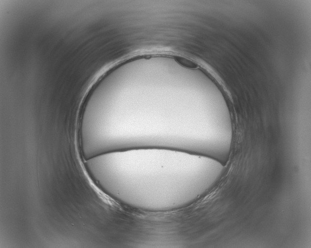 X0000058771245200509300831