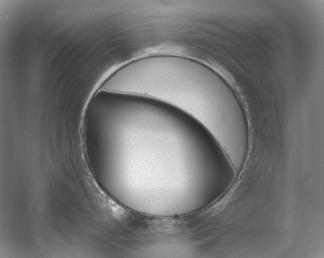 X0000058771248200509300831