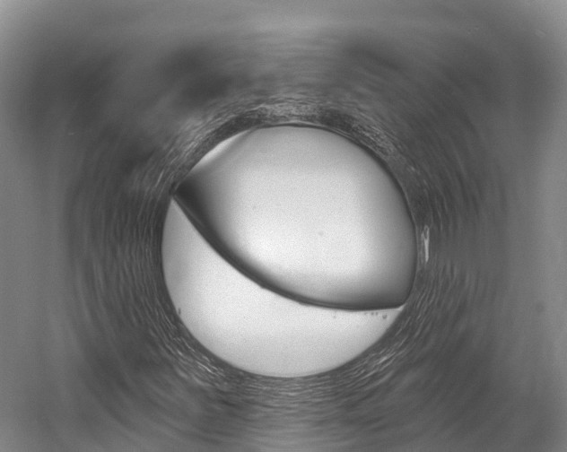 X0000058771251200509300831