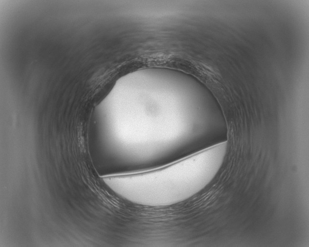 X0000058771252200509300831
